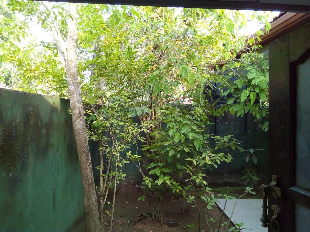 Ceylon Hostel-Galle 乌纳瓦图纳 外观 照片